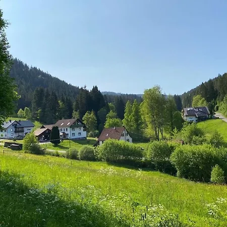 Holiday home Black Forest House Zwink Enzklosterle