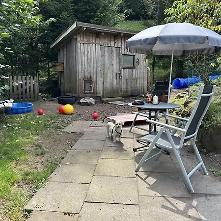 Black Forest House Zwink Holiday home