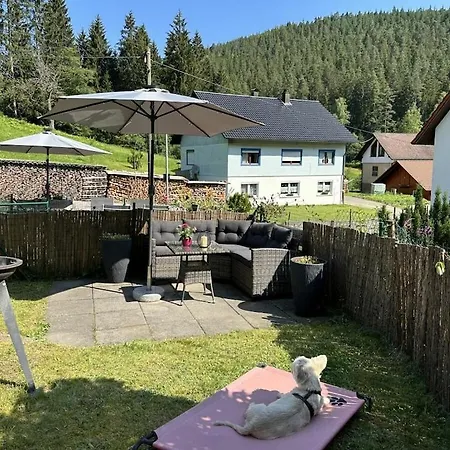 Black Forest House Zwink Holiday home *