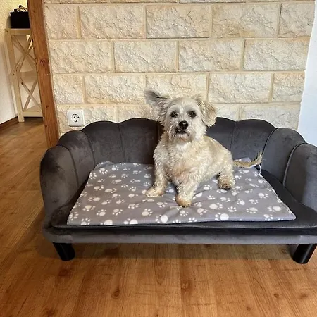 Holiday home Black Forest House Zwink