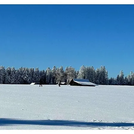 Black Forest House Zwink Holiday home