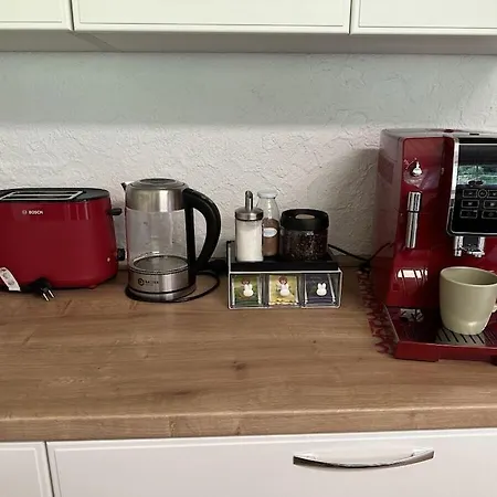 Holiday home Black Forest House Zwink *