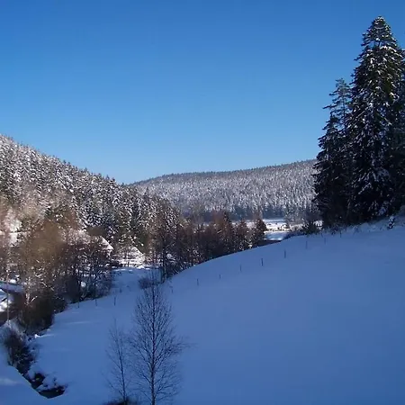 Black Forest House Zwink *