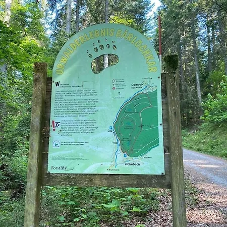 Black Forest House Zwink *