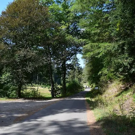 Black Forest House Zwink * Enzklosterle