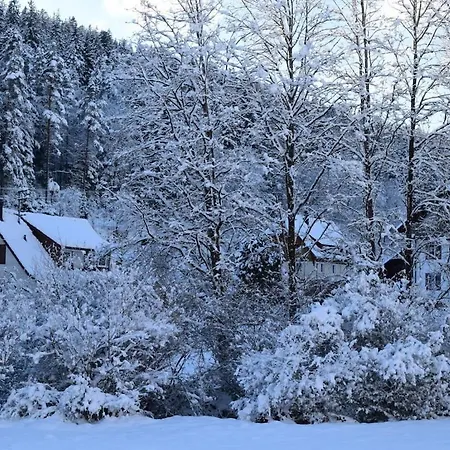 Black Forest House Zwink Enzklosterle