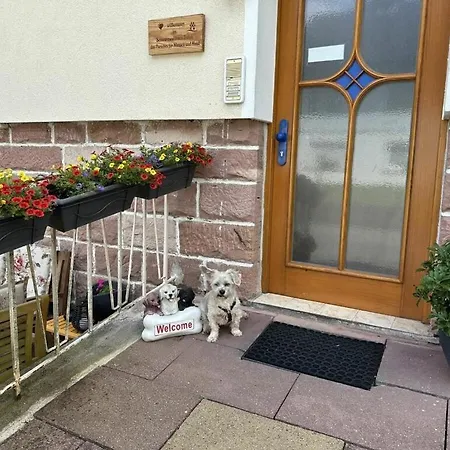 Black Forest House Zwink Holiday home